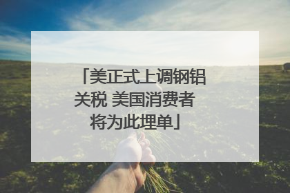 美正式上调钢铝关税 美国消费者将为此埋单