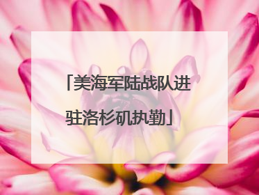 美海军陆战队进驻洛杉矶执勤