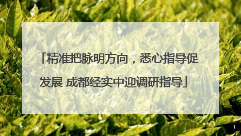 精准把脉明方向，悉心指导促发展 成都经实中迎调研指导