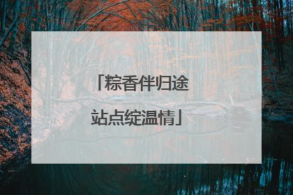 粽香伴归途 站点绽温情