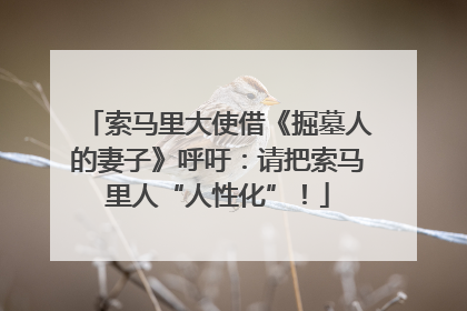 索马里大使借《掘墓人的妻子》呼吁：请把索马里人“人性化”！