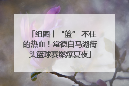 组图丨“篮” 不住的热血！常德白马湖街头篮球赛燃爆夏夜