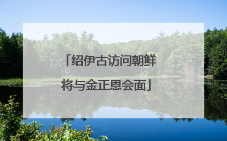 绍伊古访问朝鲜 将与金正恩会面