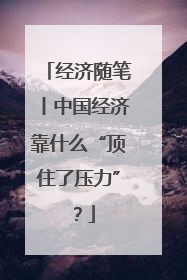 经济随笔丨中国经济靠什么“顶住了压力”？
