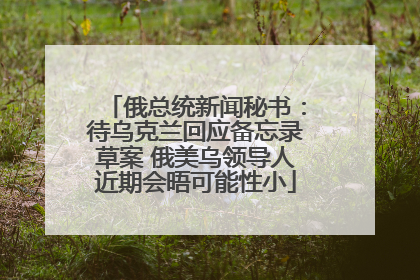 俄总统新闻秘书：待乌克兰回应备忘录草案 俄美乌领导人近期会晤可能性小