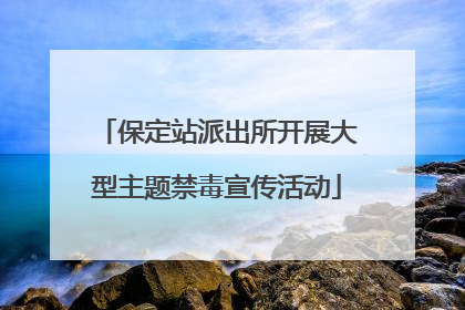 保定站派出所开展大型主题禁毒宣传活动