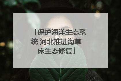 保护海洋生态系统 河北推进海草床生态修复
