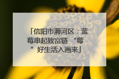 信阳市浉河区：蓝莓串起致富链 “莓”好生活入画来