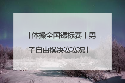 体操全国锦标赛丨男子自由操决赛赛况