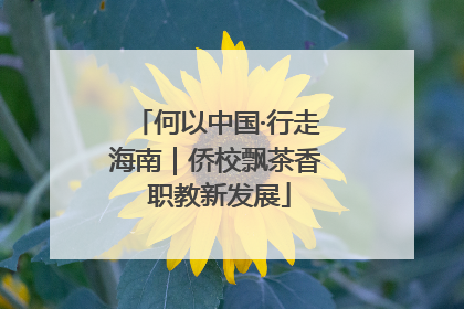 何以中国·行走海南｜侨校飘茶香 职教新发展