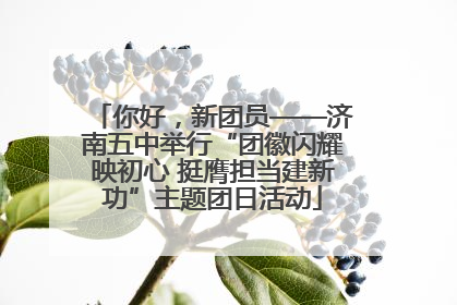 你好，新团员——济南五中举行“团徽闪耀映初心 挺膺担当建新功”主题团日活动