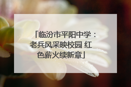 临汾市平阳中学：老兵风采映校园 红色薪火续新章