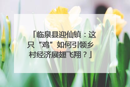 临泉县迎仙镇：这只“鸡”如何引领乡村经济展翅飞翔？