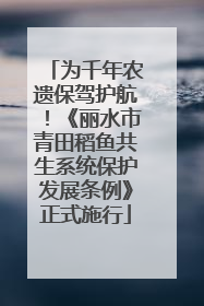 为千年农遗保驾护航！《丽水市青田稻鱼共生系统保护发展条例》正式施行