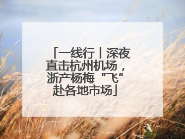 一线行丨深夜直击杭州机场，浙产杨梅“飞”赴各地市场