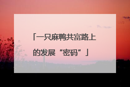 一只麻鸭共富路上的发展“密码”