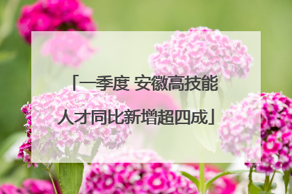 一季度 安徽高技能人才同比新增超四成