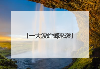 一大波螳螂来袭
