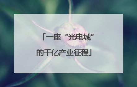 一座“光电城”的千亿产业征程