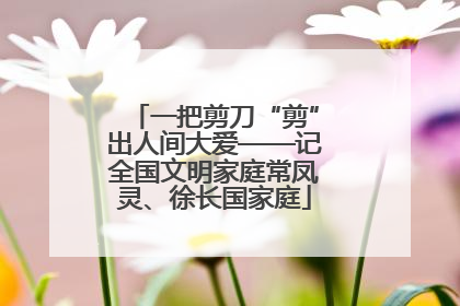 一把剪刀“剪”出人间大爱——记全国文明家庭常凤灵、徐长国家庭