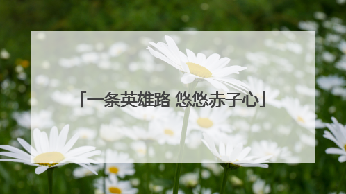 一条英雄路 悠悠赤子心