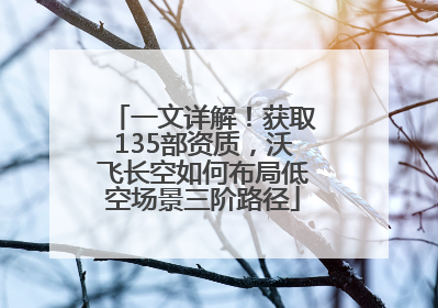 一文详解！获取135部资质，沃飞长空如何布局低空场景三阶路径