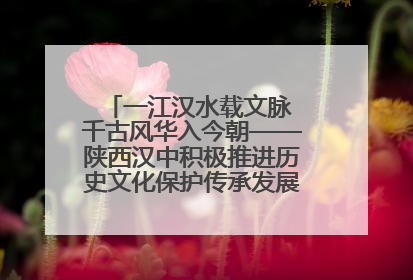 一江汉水载文脉 千古风华入今朝——陕西汉中积极推进历史文化保护传承发展的实践探索