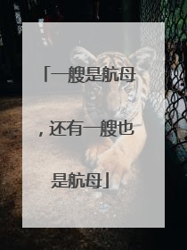 一艘是航母，还有一艘也是航母