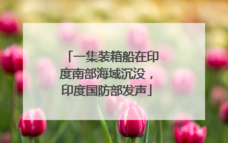 一集装箱船在印度南部海域沉没，印度国防部发声