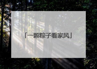 一颗粽子看家风