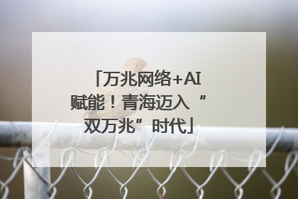 万兆网络+AI赋能！青海迈入“双万兆”时代