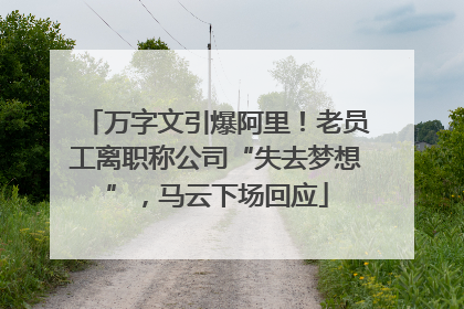 万字文引爆阿里！老员工离职称公司“失去梦想”，马云下场回应
