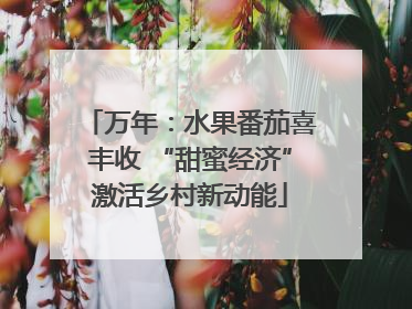 万年：水果番茄喜丰收 “甜蜜经济”激活乡村新动能