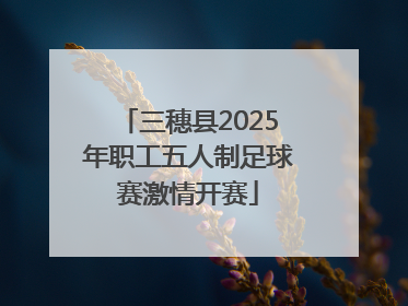 三穗县2025年职工五人制足球赛激情开赛