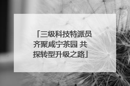 三级科技特派员齐聚咸宁茶园 共探转型升级之路