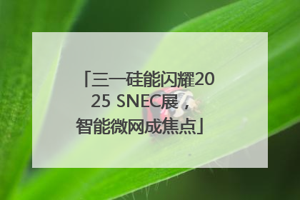三一硅能闪耀2025 SNEC展，智能微网成焦点