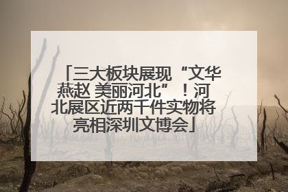 三大板块展现“文华燕赵 美丽河北”！河北展区近两千件实物将亮相深圳文博会