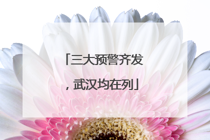 三大预警齐发，武汉均在列
