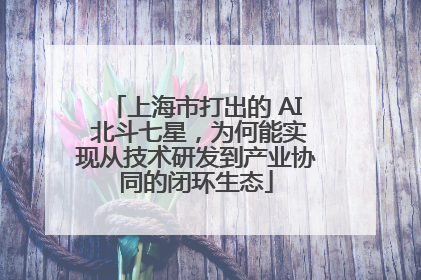 上海市打出的 AI 北斗七星，为何能实现从技术研发到产业协同的闭环生态