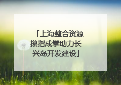 上海整合资源攥指成拳助力长兴岛开发建设
