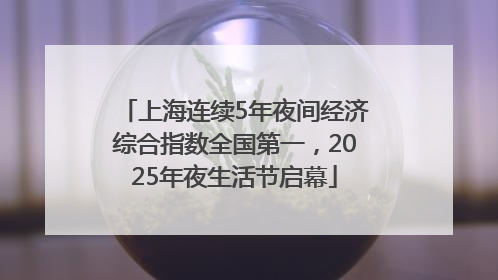 上海连续5年夜间经济综合指数全国第一，2025年夜生活节启幕