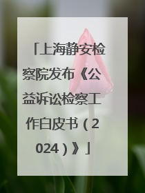 上海静安检察院发布《公益诉讼检察工作白皮书（2024）》