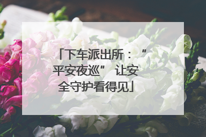 下车派出所：“平安夜巡” 让安全守护看得见