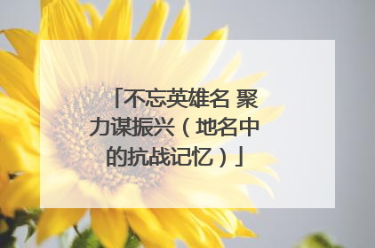 不忘英雄名 聚力谋振兴（地名中的抗战记忆）