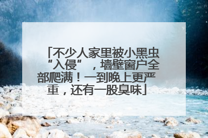 不少人家里被小黑虫“入侵”，墙壁窗户全部爬满！一到晚上更严重，还有一股臭味