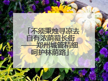 不须秉烛寻凉去 自有浓荫覆长街——郑州城管精细呵护林荫路