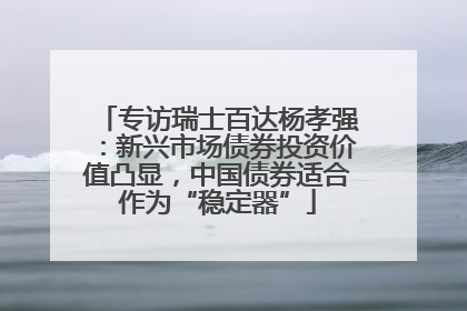 专访瑞士百达杨孝强：新兴市场债券投资价值凸显，中国债券适合作为“稳定器”