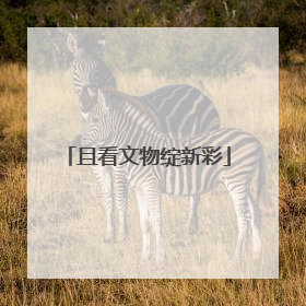 且看文物绽新彩