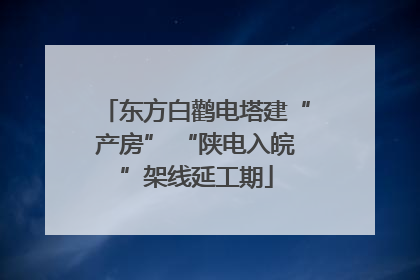 东方白鹳电塔建“产房” “陕电入皖”架线延工期