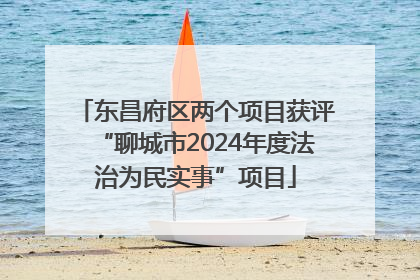 东昌府区两个项目获评“聊城市2024年度法治为民实事”项目
